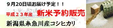新米！平成23年度 新潟産コシヒカリ 販売予約